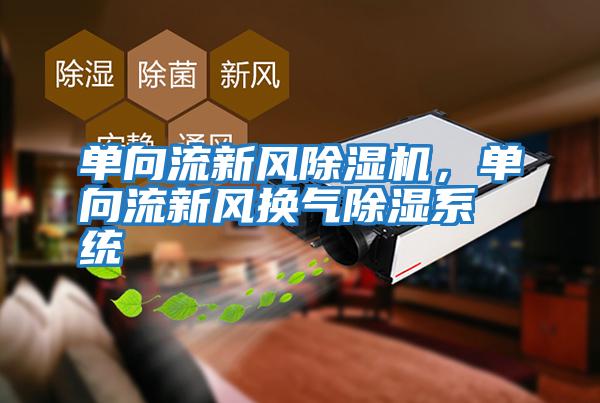 單向流新風除濕機,單向流新風換氣除濕系統