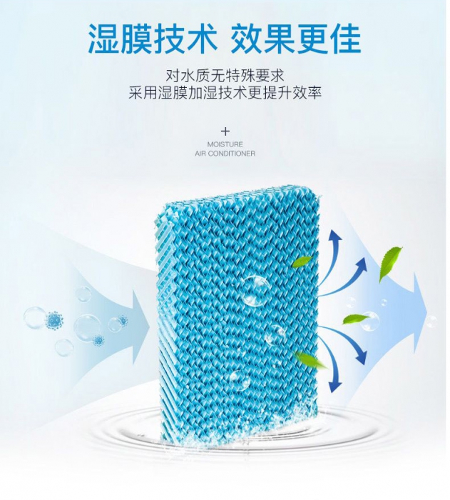 潮濕季，食材／貴重物品該防潮防霉防蟲(chóng)，你不知道的秘密！