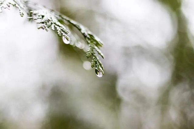 空氣濕度大帶來的危害有哪些，你知道嗎？