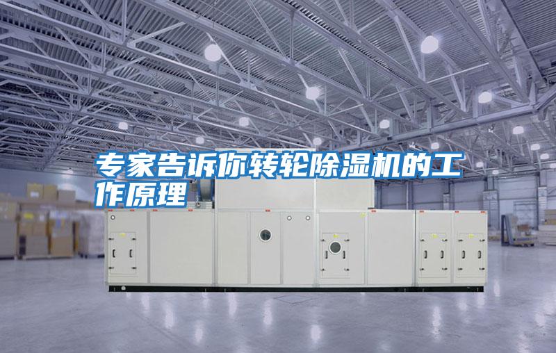 專家告訴你轉輪除濕機的工作原理