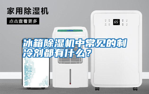 冰箱除濕機中常見的制冷劑都有什么？