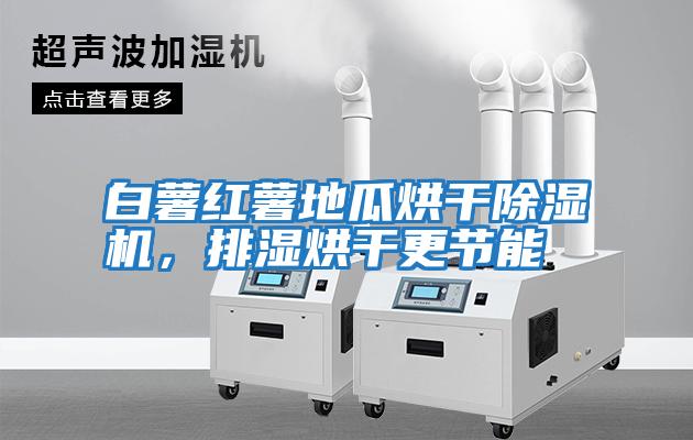 白薯紅薯地瓜烘干除濕機，排濕烘干更節能