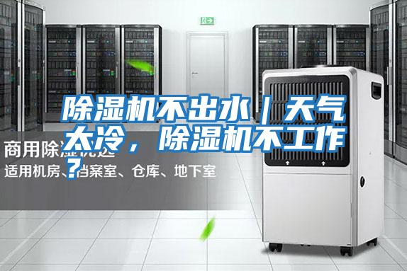 除濕機不出水｜天氣太冷，除濕機不工作？