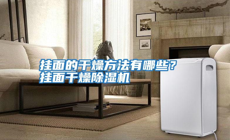掛面的干燥方法有哪些？ 掛面干燥除濕機(jī)