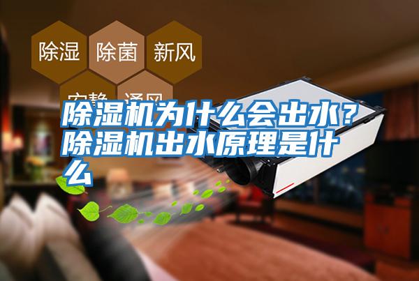除濕機為什么會出水？除濕機出水原理是什么