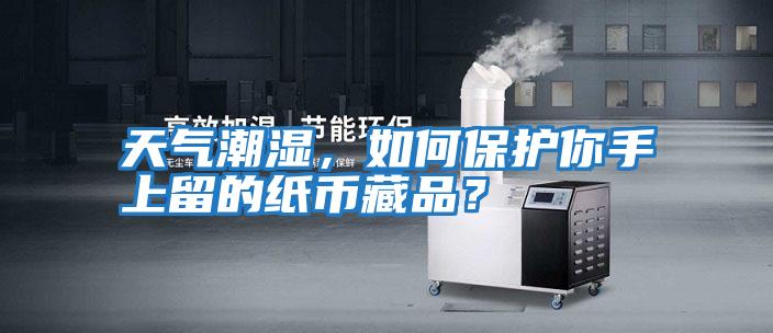 天氣潮濕，如何保護你手上留的紙幣藏品？