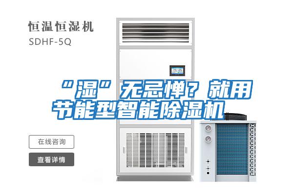 “濕”無忌憚?就用節(jié)能型智能除濕機(jī)