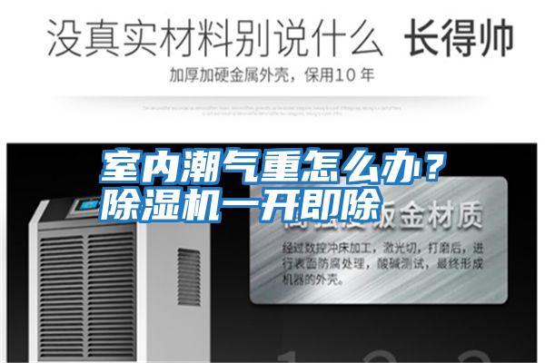 室內(nèi)潮氣重怎么辦？除濕機(jī)一開(kāi)即除