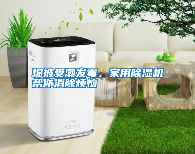 棉被受潮發(fā)霉，家用除濕機幫你消除煩惱