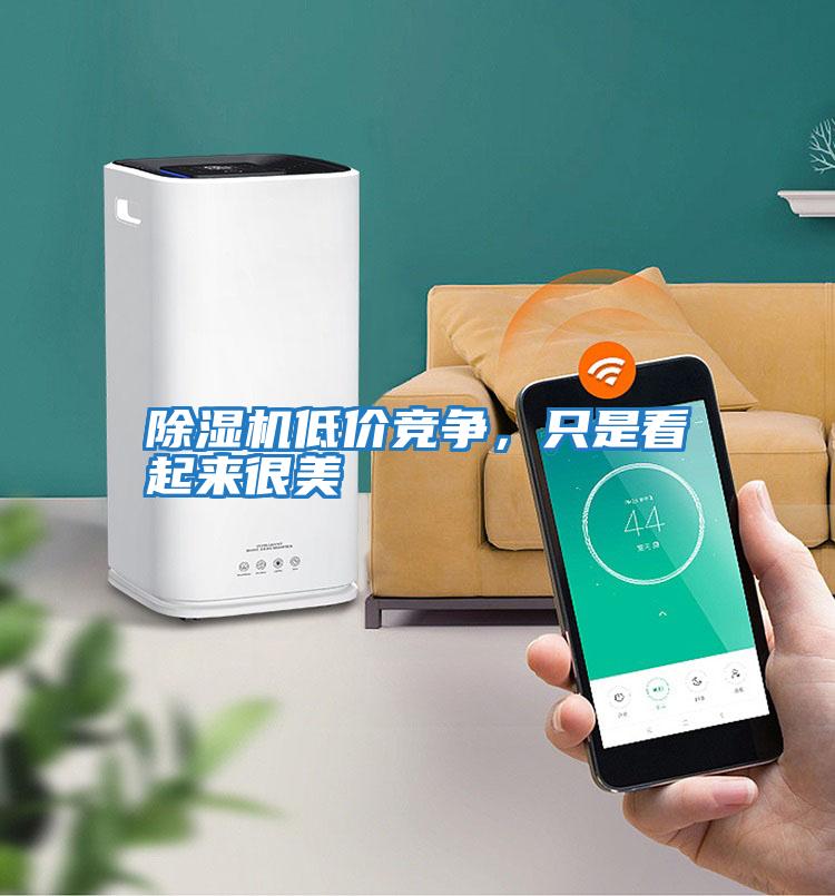 除濕機低價競爭，只是看起來很美