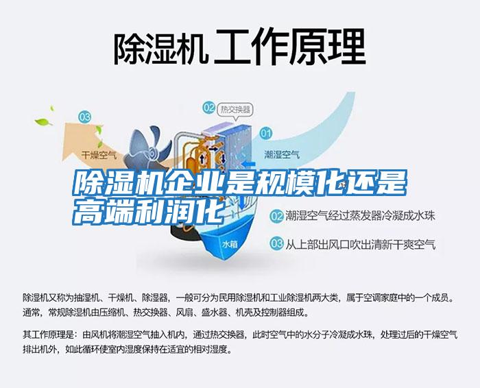 除濕機(jī)企業(yè)是規(guī)?；€是高端利潤(rùn)化