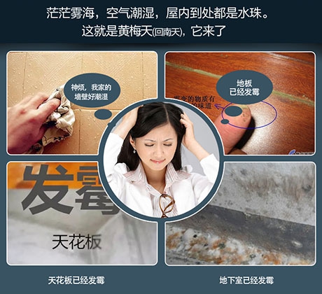 酒店、餐廳這么潮，誰還放心？除濕機用起來啊