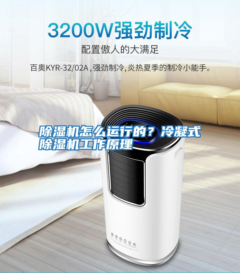 除濕機(jī)怎么運(yùn)行的?冷凝式除濕機(jī)工作原理