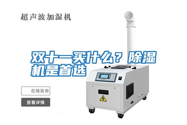 雙十一買什么?除濕機(jī)是首選