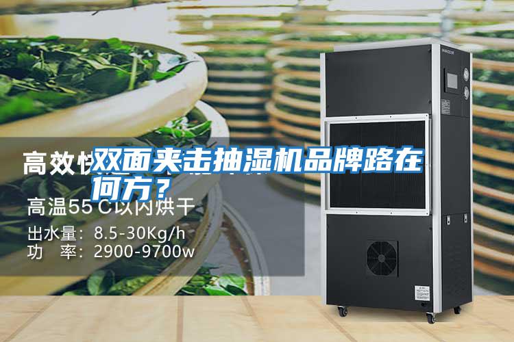 雙面夾擊抽濕機(jī)品牌路在何方?