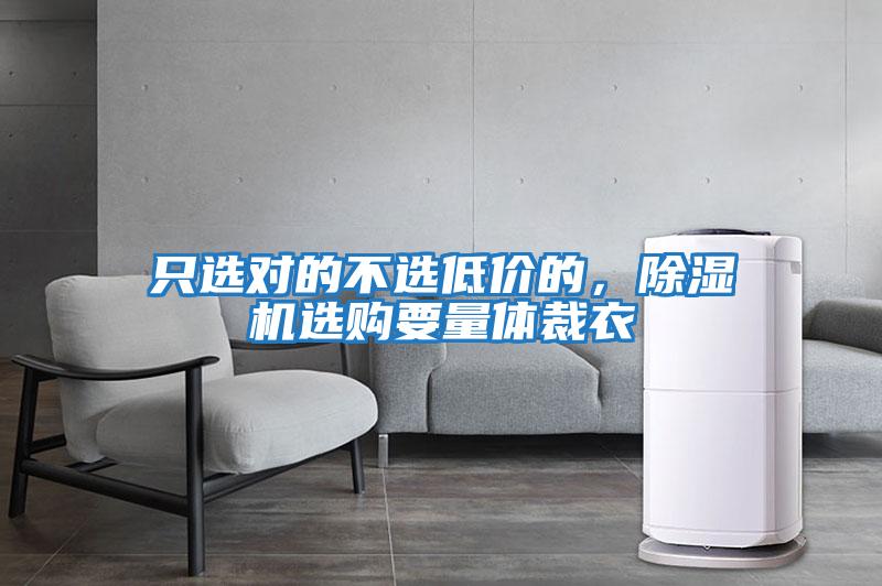 只選對的不選低價的，除濕機選購要量體裁衣