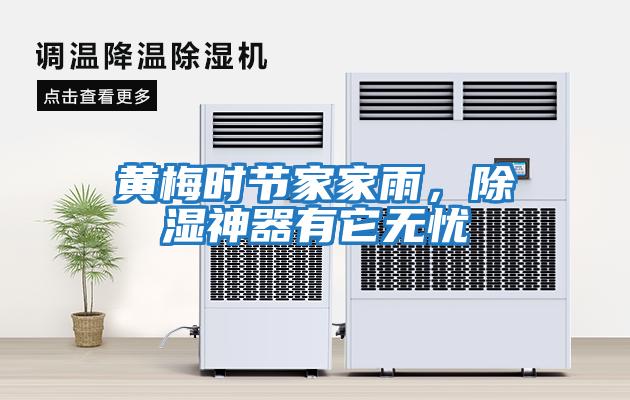 黃梅時節家家雨，除濕神器有它無憂