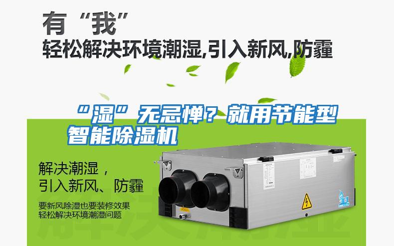 “濕”無忌憚？就用節能型智能除濕機