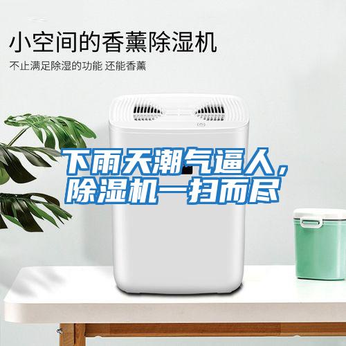 下雨天潮氣逼人，除濕機一掃而盡