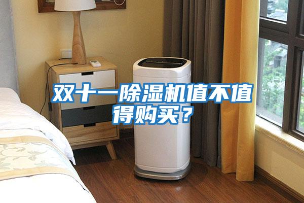 雙十一除濕機(jī)值不值得購(gòu)買？