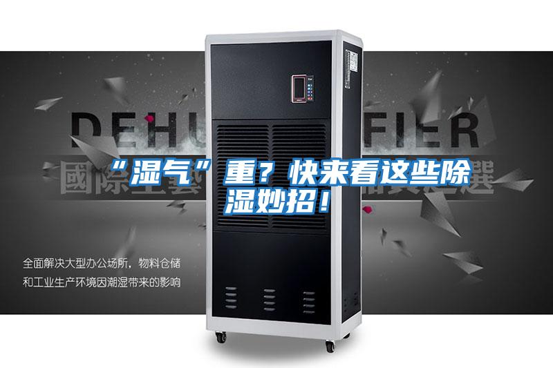 “濕氣”重？快來看這些除濕妙招！