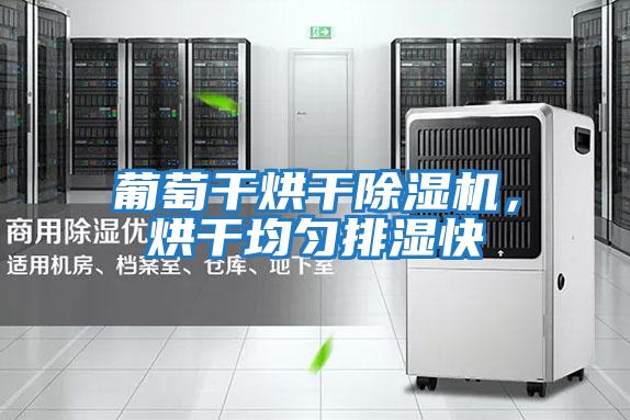 葡萄干烘干除濕機，烘干均勻排濕快