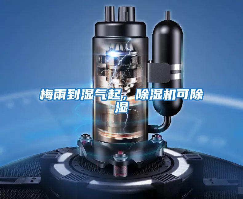 梅雨到濕氣起，除濕機(jī)可除濕