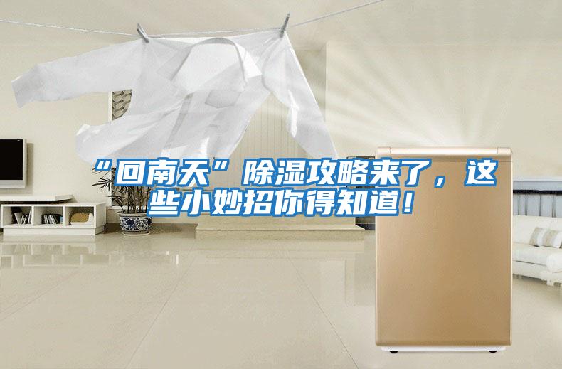“回南天”除濕攻略來(lái)了，這些小妙招你得知道！