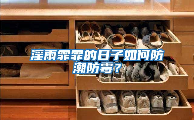 淫雨霏霏的日子如何防潮防霉？