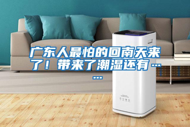 廣東人最怕的回南天來(lái)了！帶來(lái)了潮濕還有……
