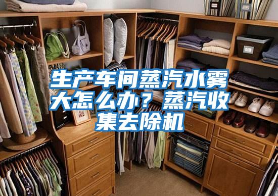 生產(chǎn)車(chē)間蒸汽水霧大怎么辦？蒸汽收集去除機(jī)