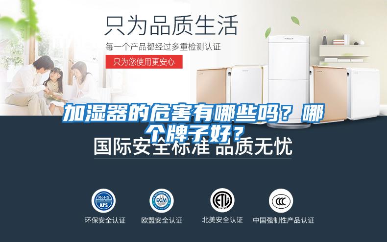 加濕器的危害有哪些嗎？哪個牌子好？