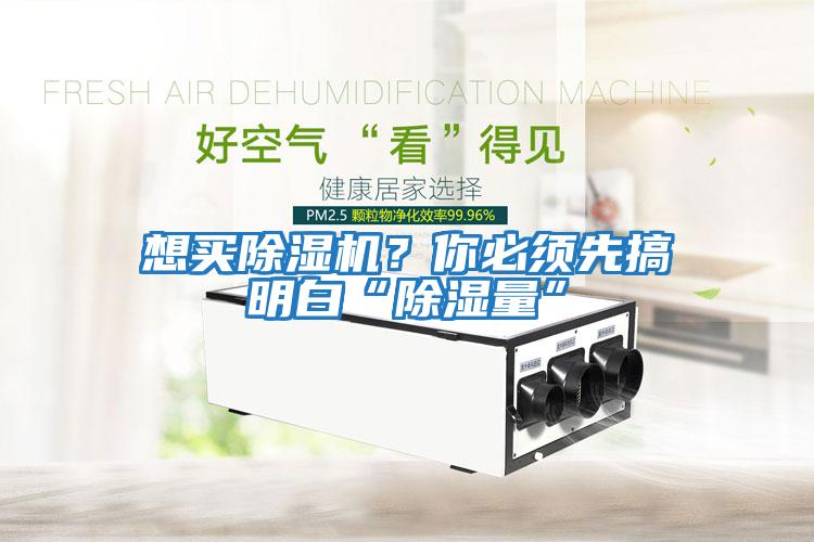 想買(mǎi)除濕機(jī)？你必須先搞明白“除濕量”
