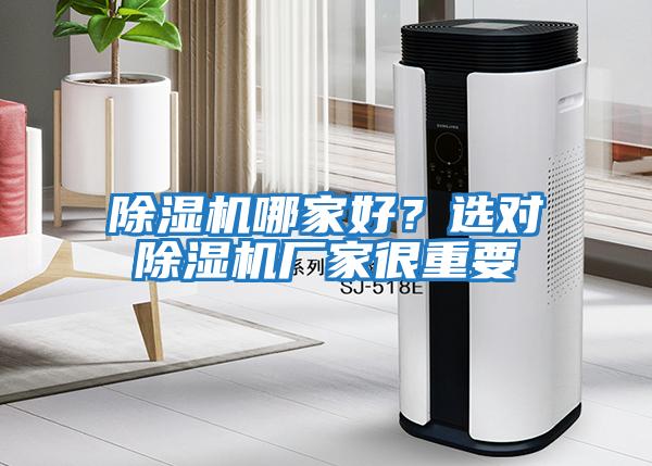 除濕機哪家好？選對除濕機廠家很重要