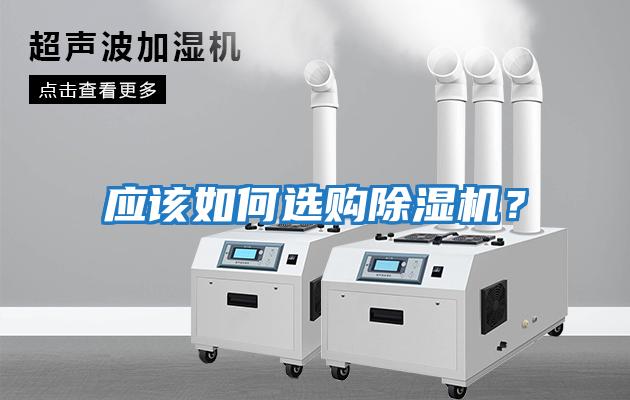 應該如何選購除濕機？