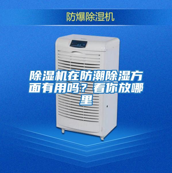 除濕機在防潮除濕方面有用嗎？看你放哪里