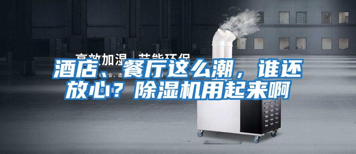酒店、餐廳這么潮,誰還放心?除濕機用起來啊