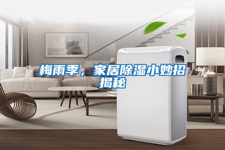 梅雨季，家居除濕小妙招揭秘