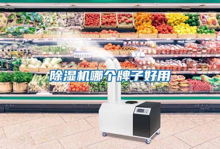 除濕機(jī)哪個牌子好用