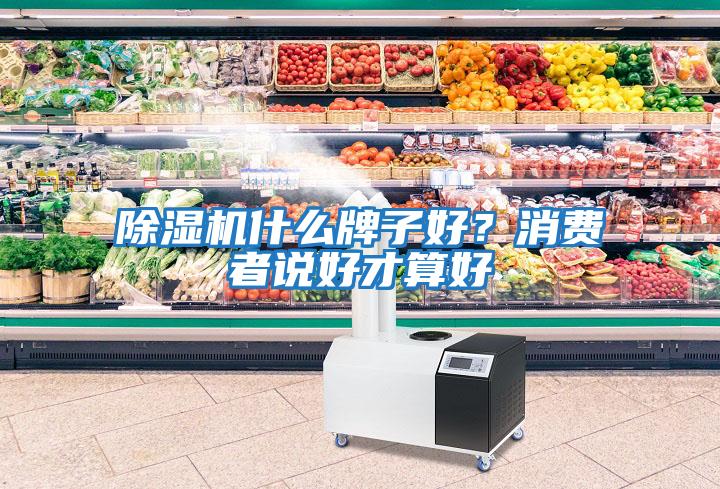 除濕機(jī)什么牌子好？消費(fèi)者說好才算好