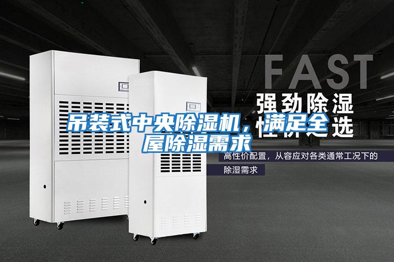 吊裝式中央除濕機，滿足全屋除濕需求