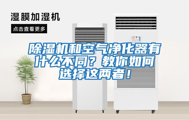 除濕機(jī)和空氣凈化器有什么不同？教你如何選擇這兩者！