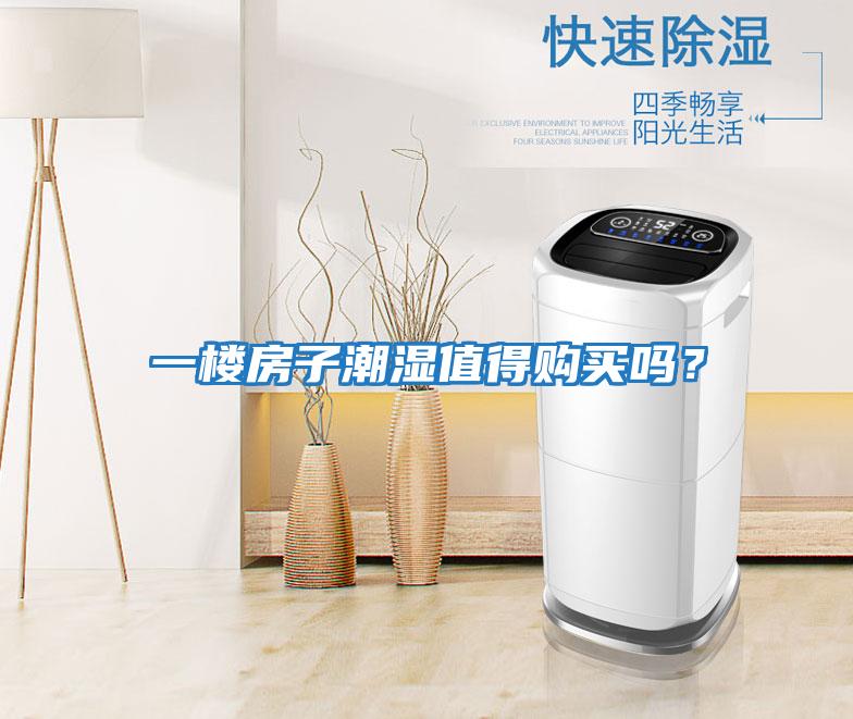 一樓房子潮濕值得購買嗎？