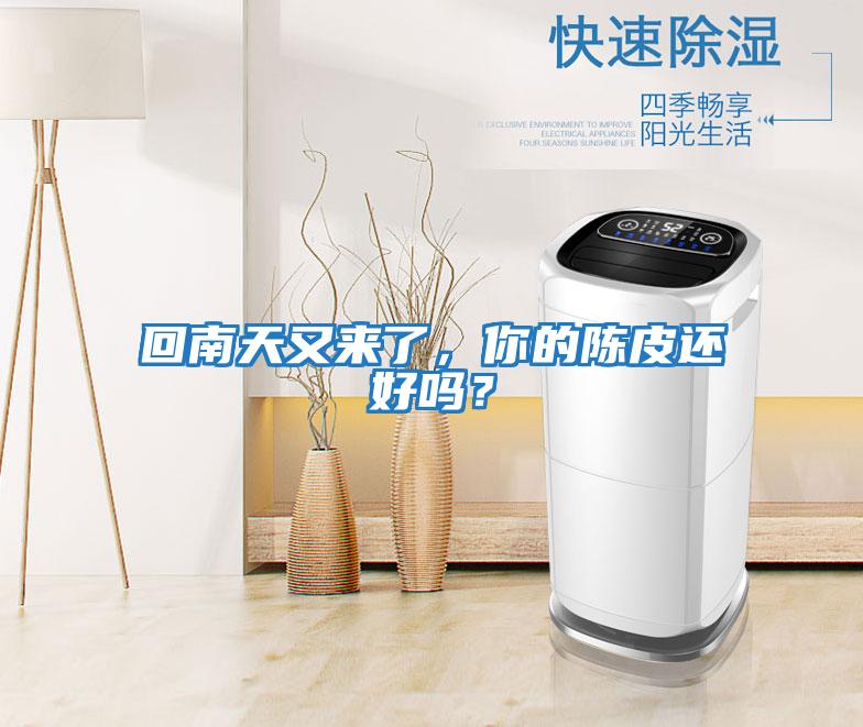 回南天又來(lái)了,你的陳皮還好嗎?