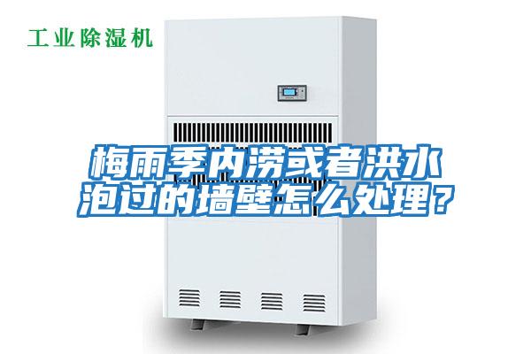 梅雨季內澇或者洪水泡過的墻壁怎么處理？