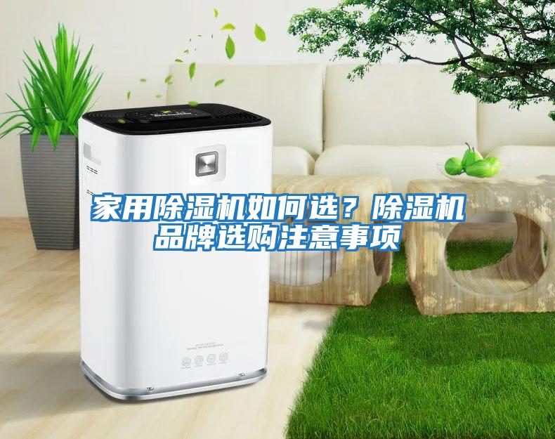 家用除濕機如何選？除濕機品牌選購注意事項