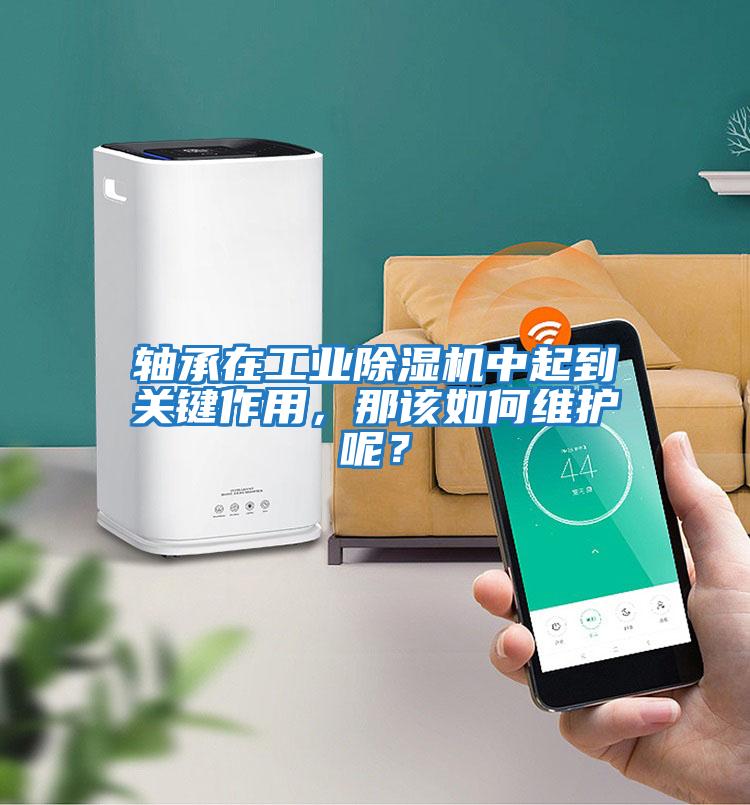 軸承在工業除濕機中起到關鍵作用，那該如何維護呢？