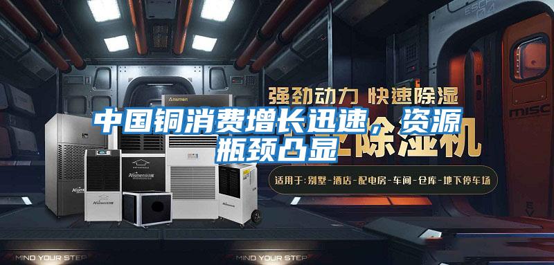 中國銅消費增長迅速，資源瓶頸凸顯