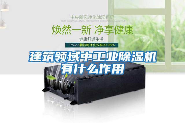 建筑領域中工業(yè)除濕機有什么作用