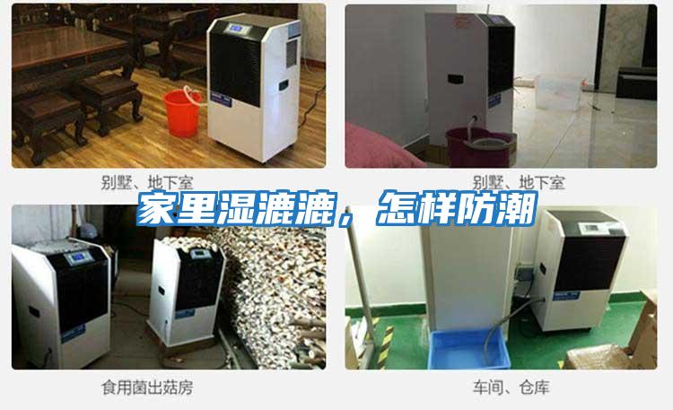家里濕漉漉，怎樣防潮